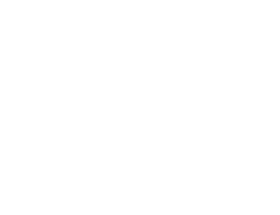 台叉國際股份有限公司